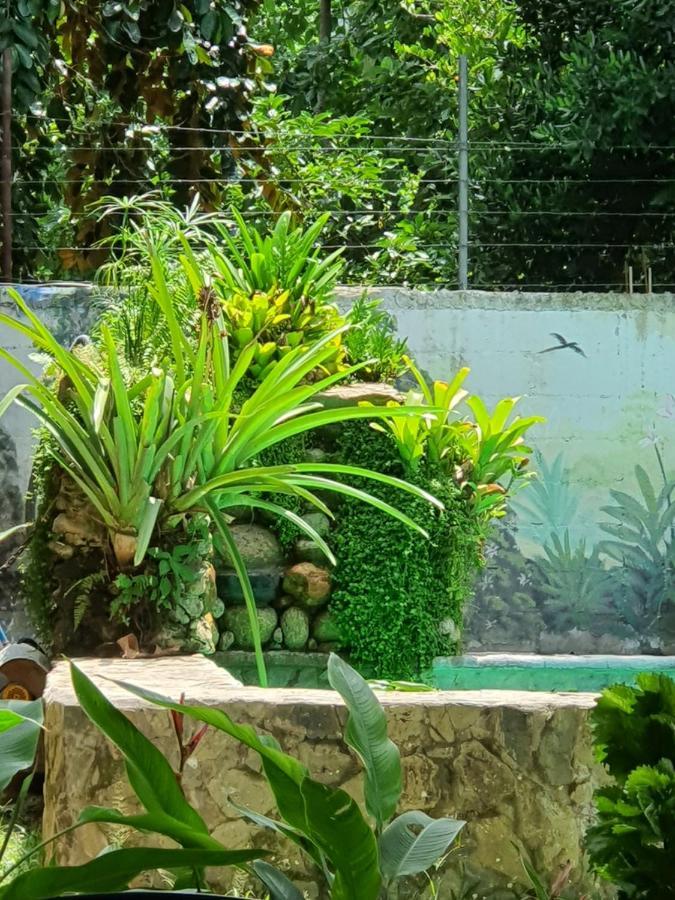 Hostal Nova Colonial Puerto Colombia Екстер'єр фото